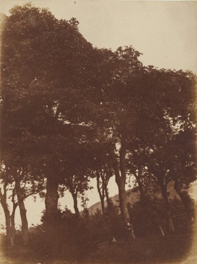 [Champ à Bonaly] - Hill and Adamson