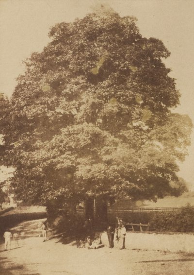 [Roslin] - Hill and Adamson
