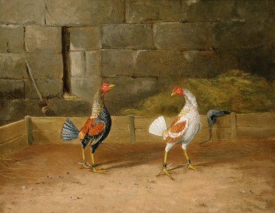Le défi - Hilton L. Jnr. Pratt
