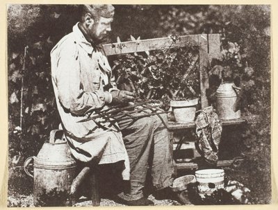 Bayard Jardinier - Hippolyte Bayard