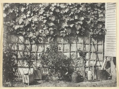 La Treille - Hippolyte Bayard