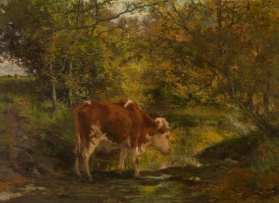  - Hippolyte Boulenger
