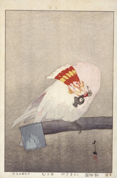 Cacatoès sur mangeoire - Hiroshi Yoshida