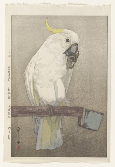 Cacatoès à huppe jaune - Hiroshi Yoshida
