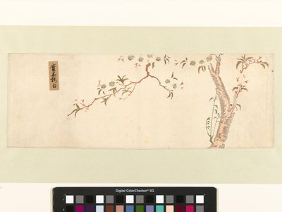 Cerisier en fleurs - Hiroshige (I) , Utagawa (attributed to)