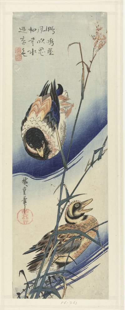 Canards près des roseaux - Hiroshige (I) , Utagawa