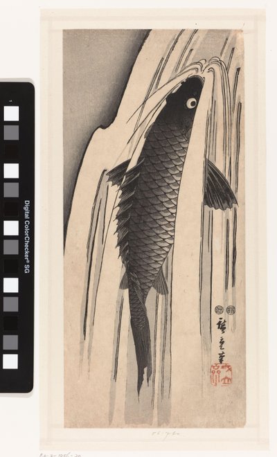 Carpe nageant contre une cascade - Hiroshige (I) , Utagawa