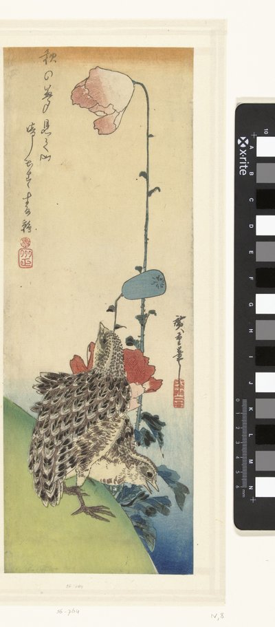 Cailles et coquelicots - Hiroshige (I) , Utagawa