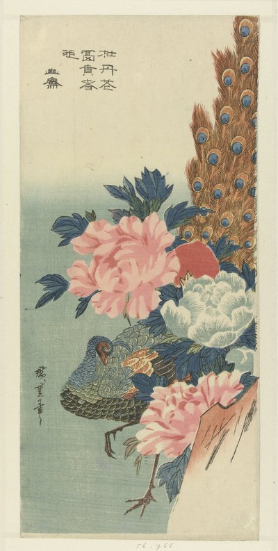 Paon et pivoines - Hiroshige (I) , Utagawa