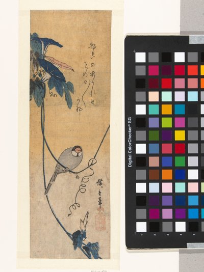 Oiseau et liseron bleu - Hiroshige (I) , Utagawa