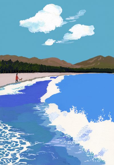 Plage et forêt de pins - Hiroyuki Izutsu
