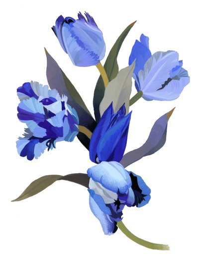 Tulipe bleue - Hiroyuki Izutsu