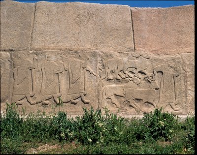 Vue de la base des reliefs de la Porte du Sphinx - Hittite Hittite