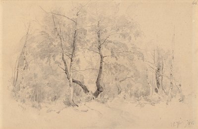  - Hjalmar Munsterhjelm