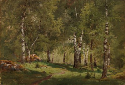  - Hjalmar Munsterhjelm