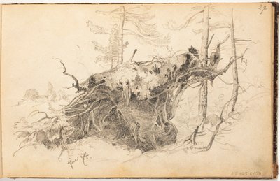  - Hjalmar Munsterhjelm