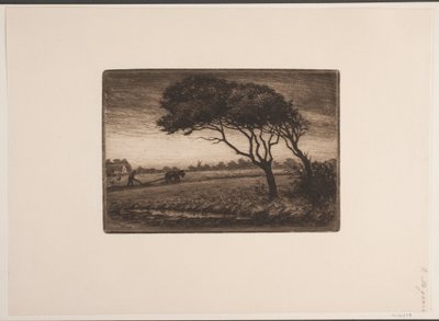 Paysage d