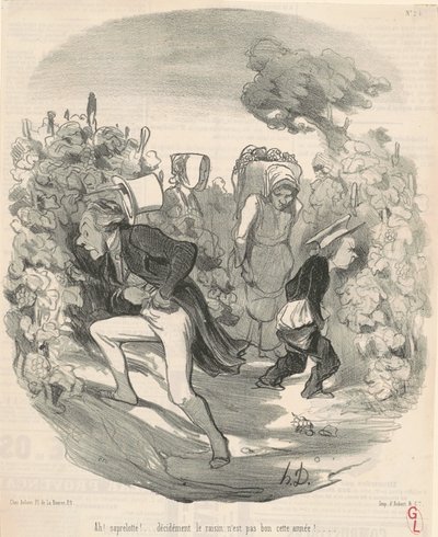 Ah! Saperlotte! ... Le raisin n