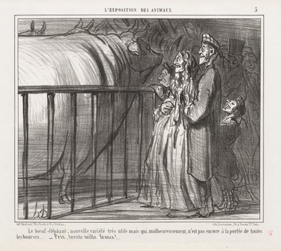 Exposition des animaux : La Vache-Éléphant, nouvelle variété - Honoré Daumier