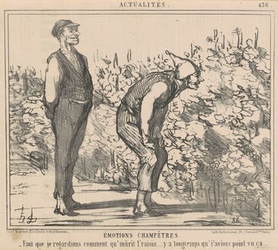 Faut que je regarde comment mûrit le raisin ... - Honoré Daumier