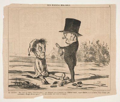 Le Savant - Mon ami, la Vigne, (Vitis Linnoeus.), est attaquée en ce moment - Honoré Daumier