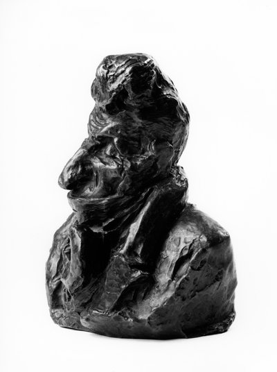 Les bustes des « Célébrités du Juste Milieu » Caricature de Jean Auguste Chevandier de Valdrome (1781-1865), député et pair de France. Le stupide. Sculpture par Honoré Daumier (19e siècle) - Honoré Daumier