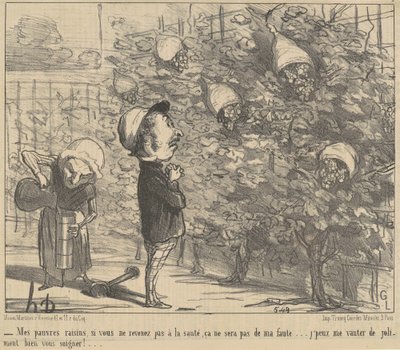 Mes pauvres raisons, si vous ne revenez pas à la sauté - Honoré Daumier