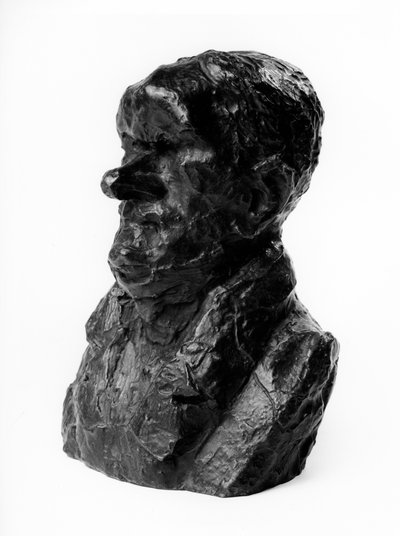 Les bustes chargés des Célébrités du Juste Milieu. Caricature par Auguste Ganneron (1792-1847), député et industriel. Le timide. Sculpture par Honoré Daumier (1808-1879) XIXe siècle. Inv L 48.4 Dim en cm H 18 x L 13 Musée des Beaux Arts, Palais Longchamp - Honoré Daumier