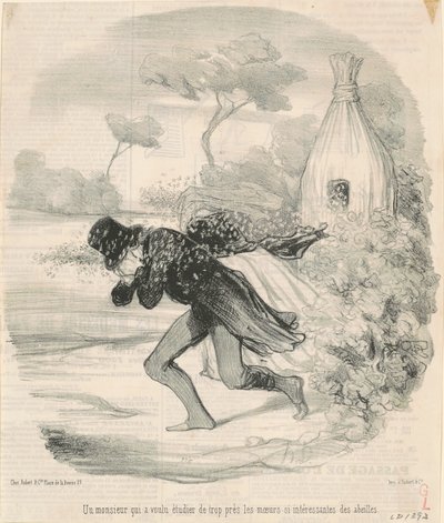 Un monsieur qui voulait étudier les mœurs des abeilles - Honoré Daumier