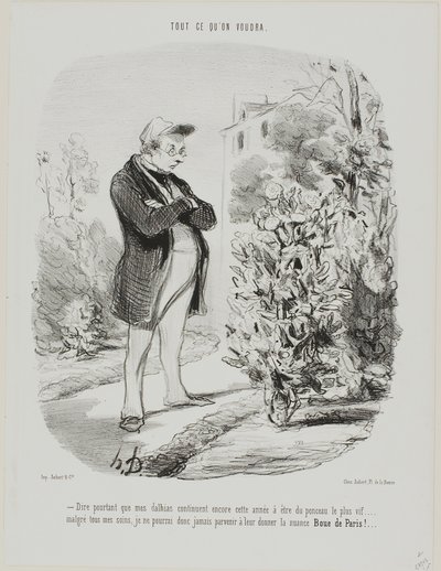 “- Dire pourtant que mes dahlias continuent encore cette année à être du ponceau le plus vif . . . . malgré tous mes soins, je ne pourrai donc jamais parvenir à leur donner la nuance Boue de Paris !...,” plate 6 from Tout Ce Qu