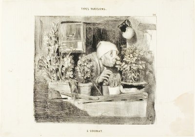 Odeur, planche 38 de Types Parisiens - Honoré Victorin Daumier