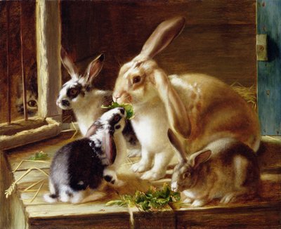 Lapins à longues oreilles dans une cage, observés par un chat - Horatio Henry Couldery