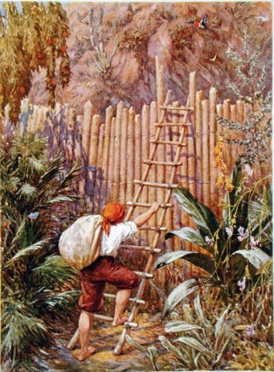 Crusoe et sa forteresse, illustration de 