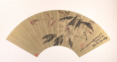 Pivoine herbacée - Hu Yuan