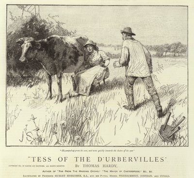 Tess d