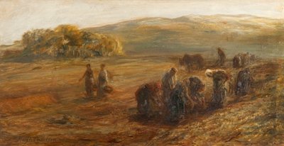 Récolte de pommes de terre - Hugh Cameron
