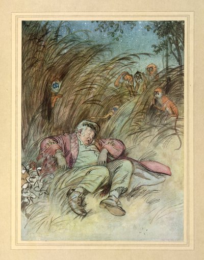 Observé par des singes, de 