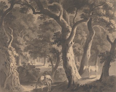 Forêt de Wychwood - Hugh William Grecian Williams