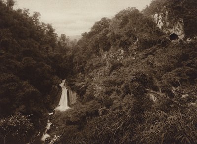 Mexique : Atoyac, Salto de agua (photo n/b) - Hugo Brehme