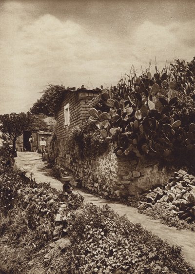 Mexique : coin pittoresque à San Angel D F (photo n/b) - Hugo Brehme