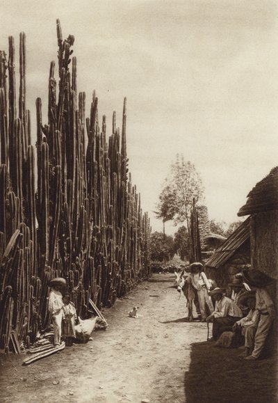 Mexique : Santiago, rue caractéristique du village avec des cactées en forme de colonnes (photo n/b) - Hugo Brehme