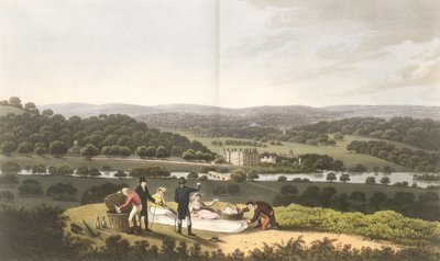 Vue générale de Longleat depuis Prospect Hill, de 