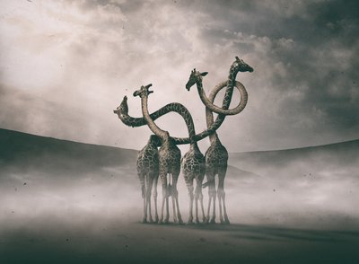  - Hussain Buhligaha