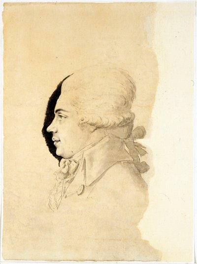 Portrait du comte Nikolai Petrovitch Roumiantsev - I. I. Haacke