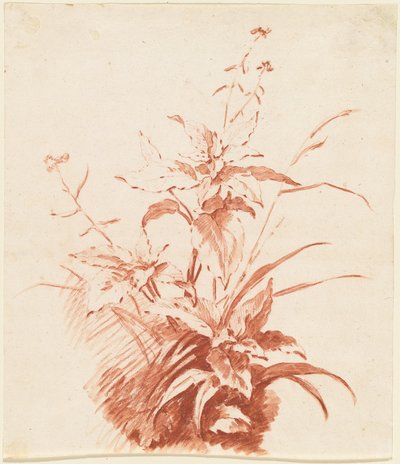 Plante à fleurs avec herbe - I Jean Baptiste Hüet