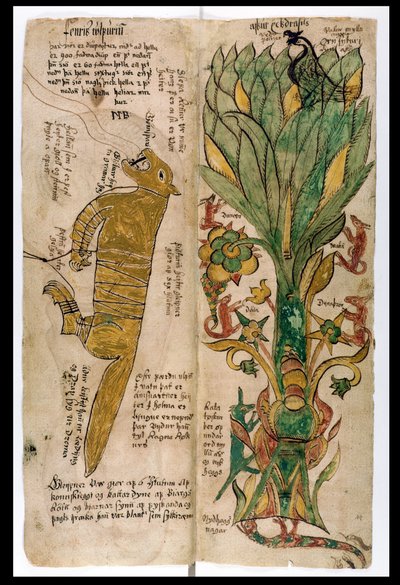 Le Loup Fenrir et l