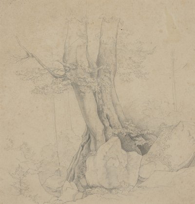 Arbre et Roche - Ida Weisselberg Hadra