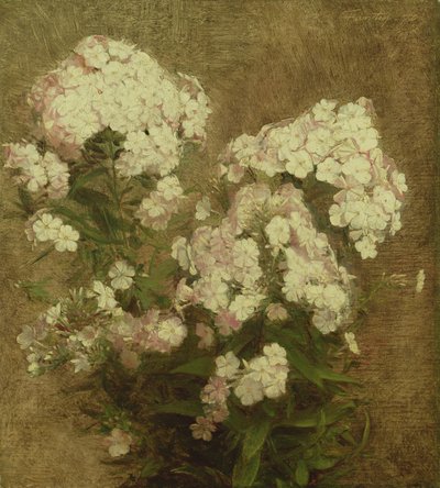 Phlox - Ignace Henri Jean Fantin Latour
