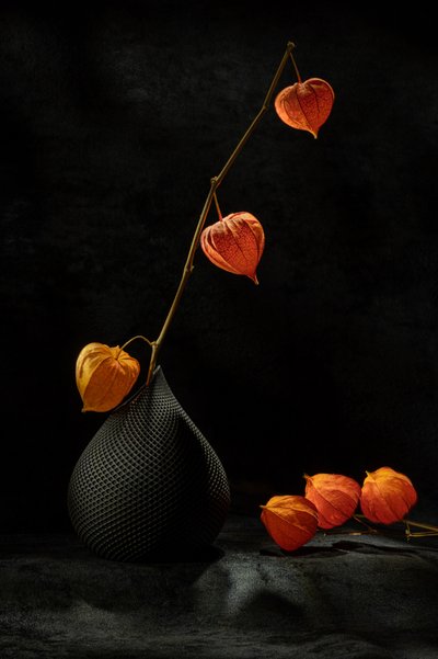  - Igor Kopcev