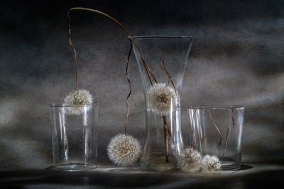  - Igor Kopcev